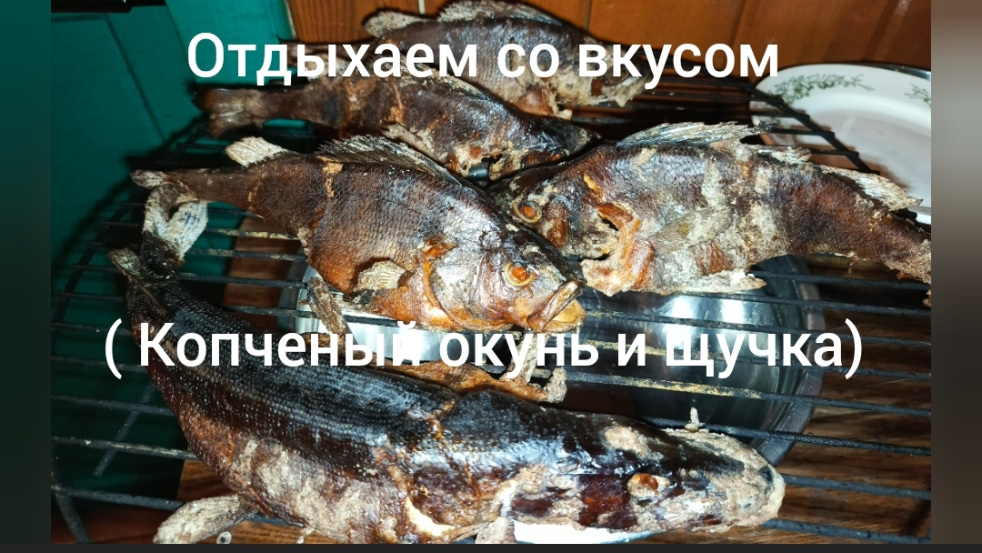 Отдыхаем со вкусом - коптим рыбу.
