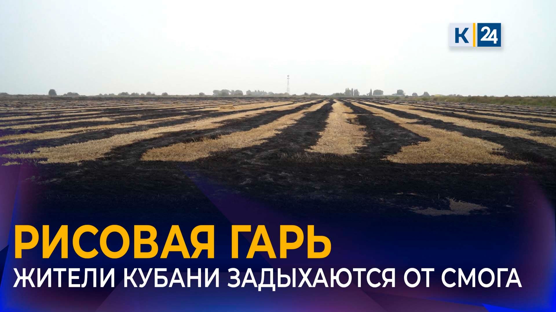 На загрязнение воздуха из-за сжигания рисовых отходов пожаловались жители Кубани