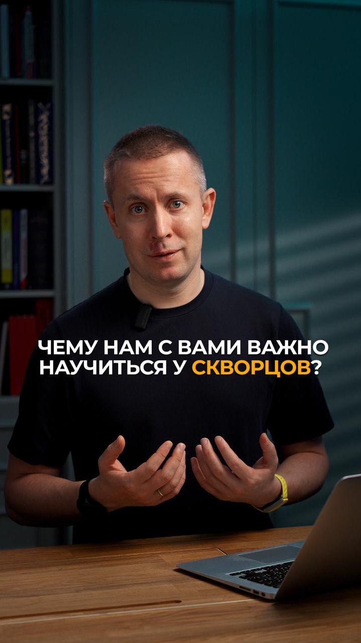 Почему нам с вами важно учиться у скворцов?