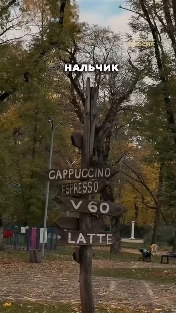 Город, уютно расположившийся у подножия Кавказских гор