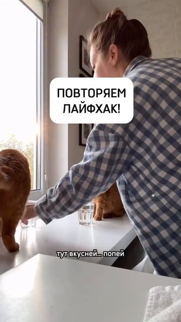 Целый процесс