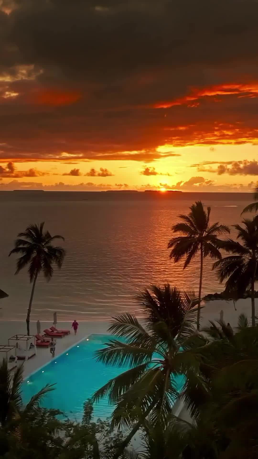 Природа останавливается, чтобы насладиться закатом.