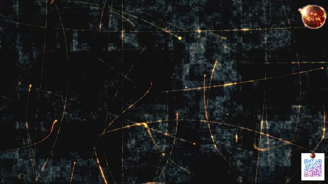 Ситуация в Константиновке, Изменит ли Трамп свой план? Проблемы у ЗЕ с СБУ