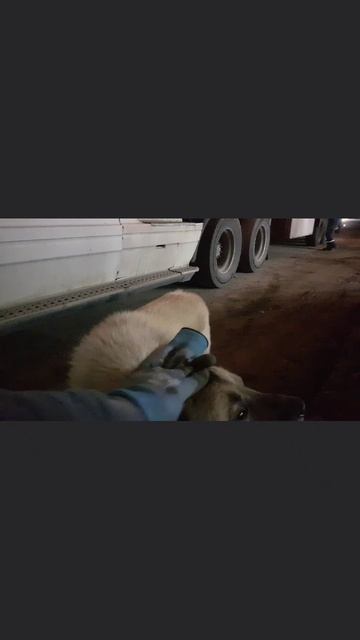 Утром деньги вечером стулья. В новом ролике. Подпишись не пропусти🤝