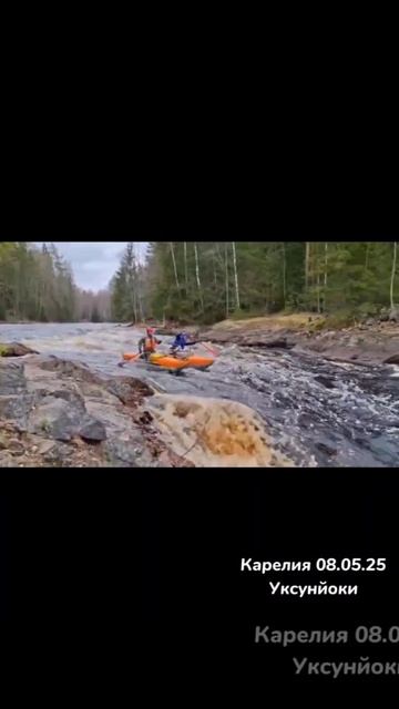 ДИКАЯ КАРЕЛИЯ