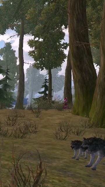 #mmorpg  #иградляпк  #северныйклинок #northernblade