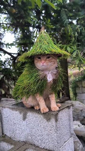 Вы встретили лесного духа и теперь всю неделю вам будет сопутствовать удача...