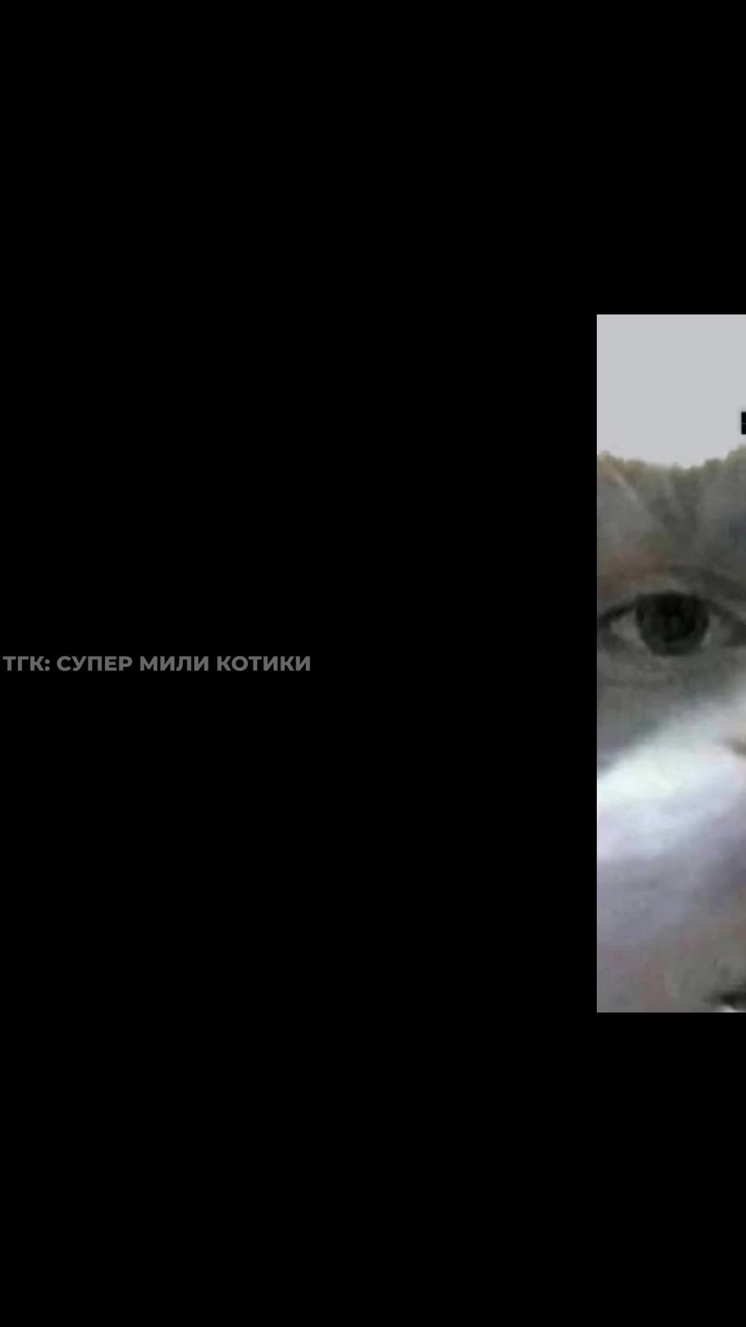 supermilikotiki_053.mp4