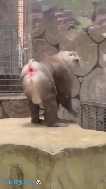 Фотомодель на подиуме📸🤣