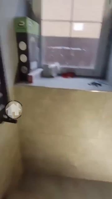 Клип @delay_sam_remont