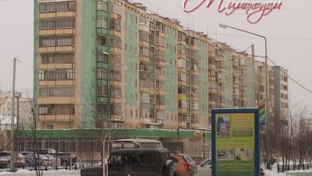 "МИМОХОДОМ", 24 ноября 2009 год. Автор проекта О. Дзиов