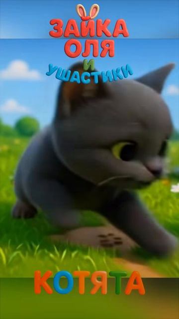 🔴 Давайте посчитаем котят вместе 🐱✨ Раз, Два, Три, Четыре, Пять!