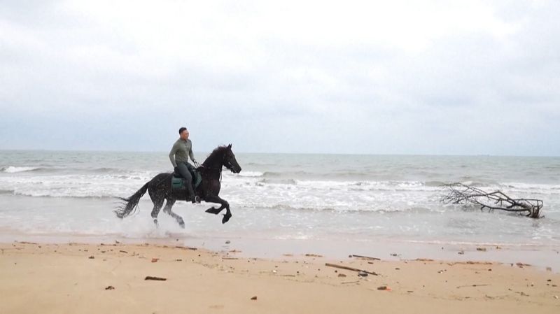 🐴Как Хайнань становится мировым центром конного спорта