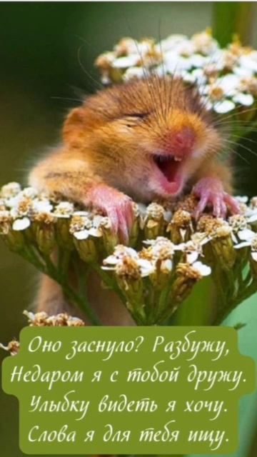 VID_20251123_232024_883.mp4