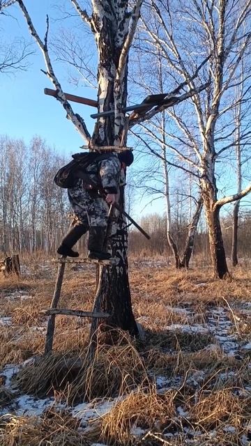 Лови момент!