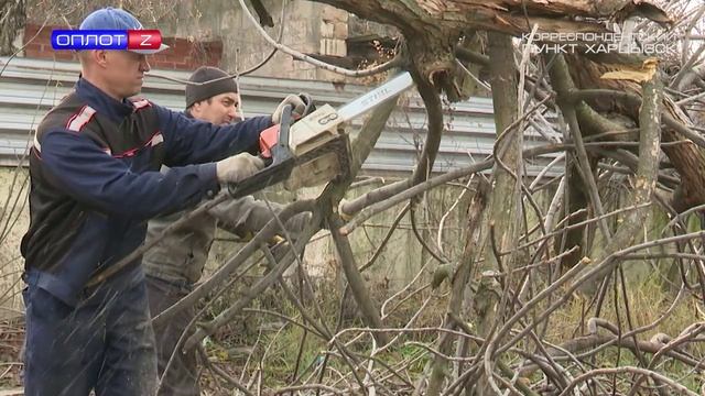 Спил деревьев в Харцызске