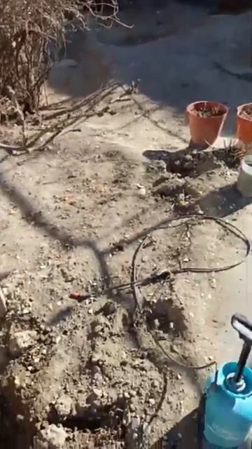 ОПРИСКИВАТЕЛЬ ДЛЯ ДЕРЕВЬЕВ ЧТОБ БЫЛО УДОБНО