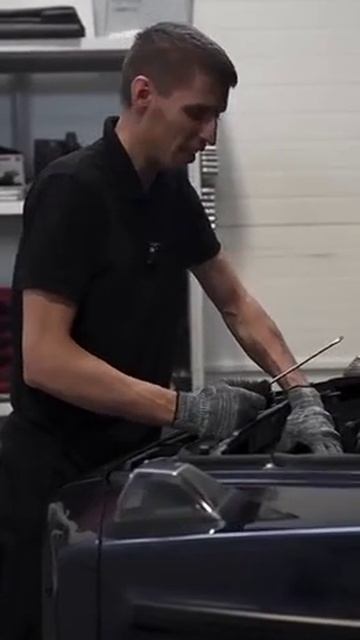 Философия гелика