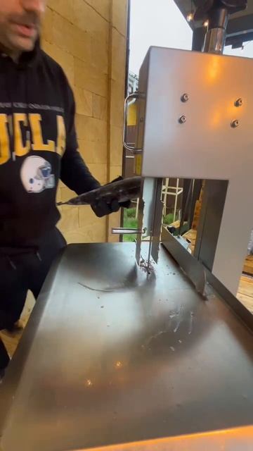 Мощная настольная ленточная пила пилит мороженую рыбу