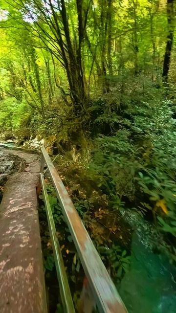 Черниговка, река Малая Мачара  #Абхазия #Canyon #Travel #Waterfall #MountainsLovers #Trip