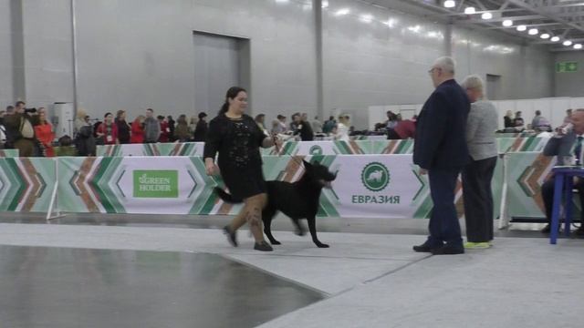 Русская Легенда Ундина