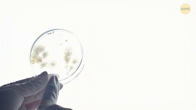 Наше тело скрывает больше, чем вы думаете — 50+ открытий