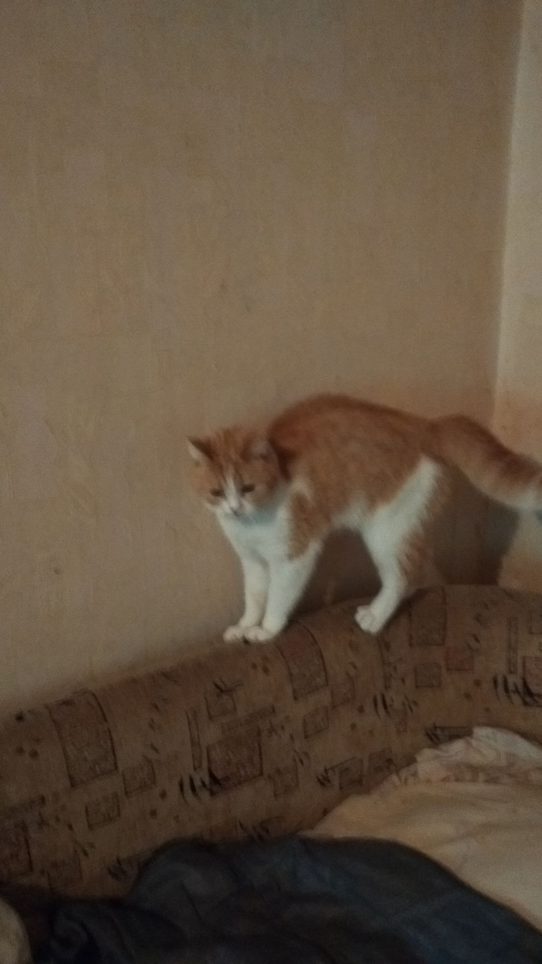 И кто это сделал...!😆