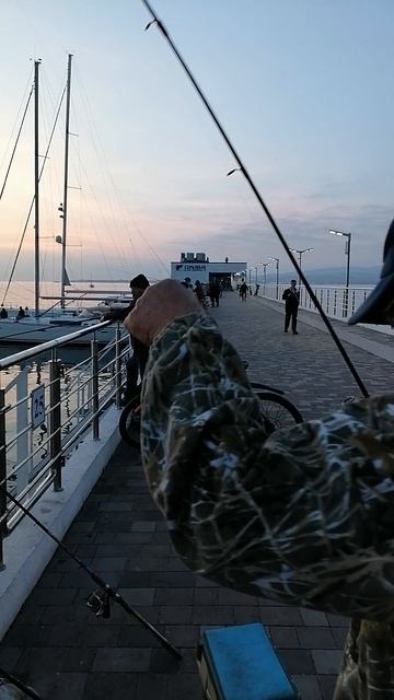 Геленджик. Рыбалка на причале.