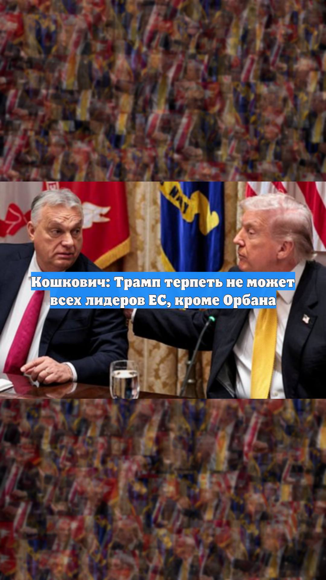 Кошкович: Трамп терпеть не может всех лидеров ЕС, кроме Орбана