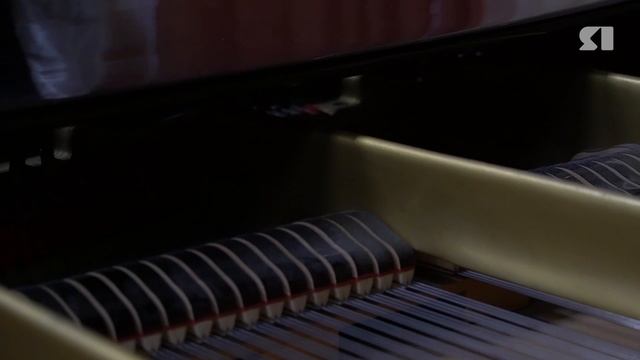 Семейный круг. Программа от 22.11.2025