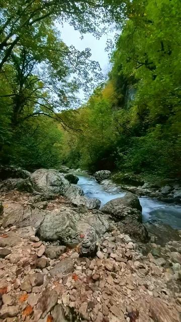 Черниговка, буйная река  #Абхазия #Canyon #Travel #Waterfall #MountainsLovers #Trip