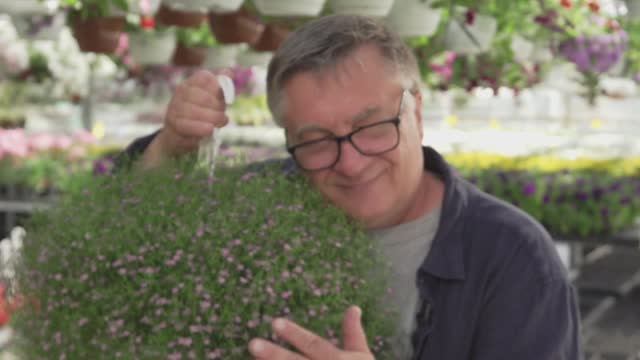 Королева балкона