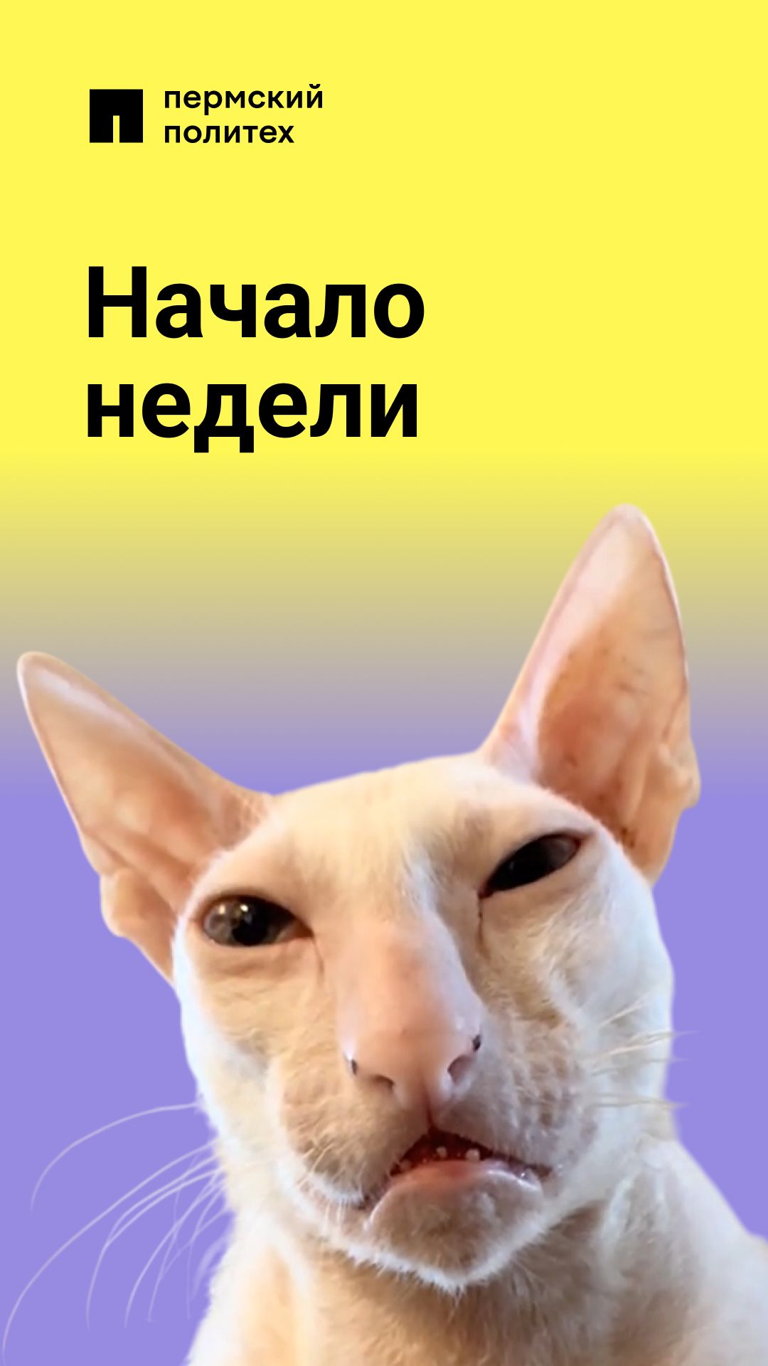 И даже кофе не помогает