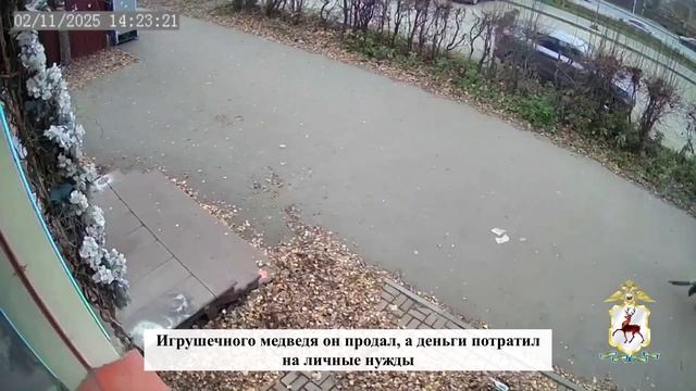 Нижегородец открыто похитил плюшевого мишку из цветочного магазина