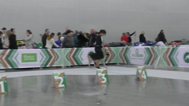 Посадский Страж Уитни Очаровательная