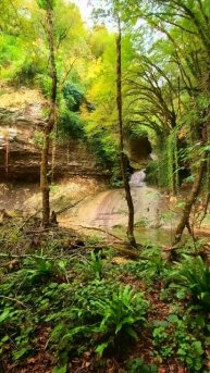 Шакуранский водопад, проход #Абхазия #Сухум #Travel #Waterfall #MountainsLovers #Trip