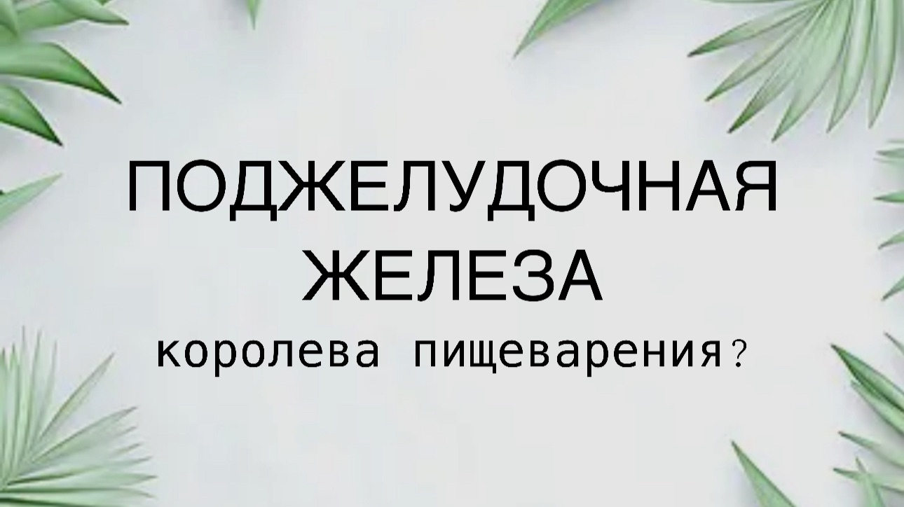 Поджелудочная железа - королева пищеварения?
