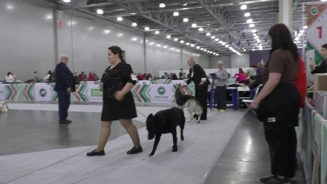 Сравнение промежуточного класса