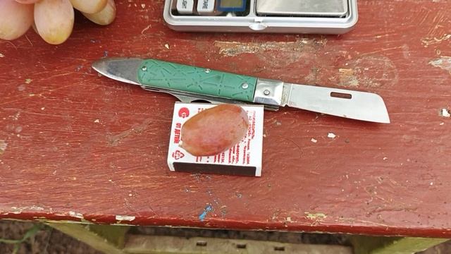 Мускат монополия на участке Шульгинова В.Н., остатки урожая.