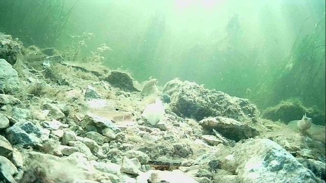 1000004924.mp4Волга гл.1м.24.11.2025г.