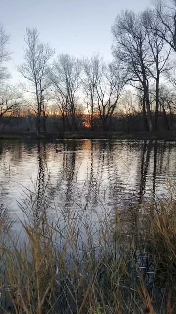 24.11.2025 #сегоднятак #природа #прырода #табиғ #自然 #natureza #natura #자연 #طبيعة #प्रकृति #nature