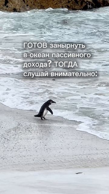 Система которая работает