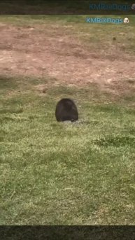 То ли я дурак, то ли лыжи не едут😂