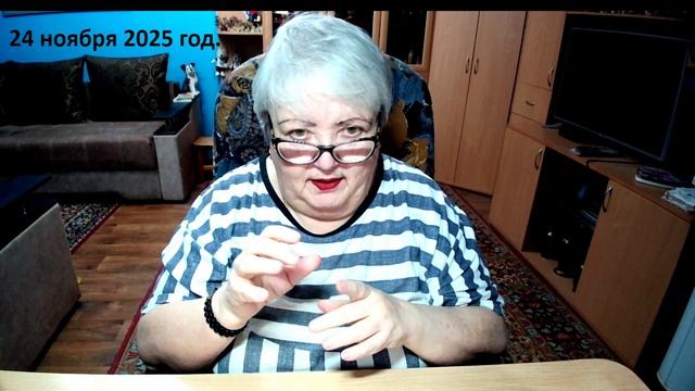 24 ноября 2025 год