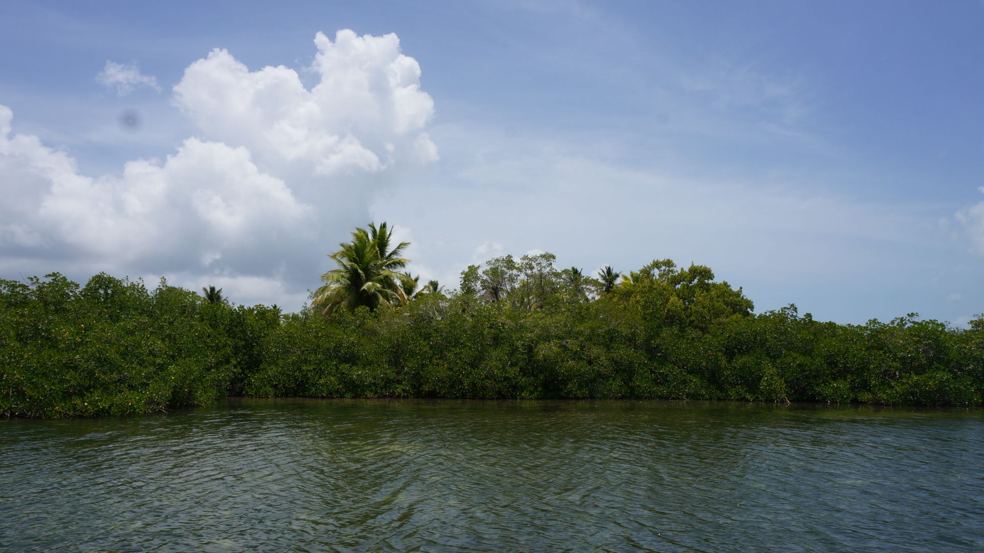 Веселая погребальная
