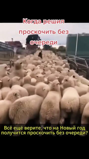 Маникюр приколы Омск #маникюромск, #маникюр