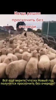 Маникюр приколы Омск #маникюромск, #маникюр