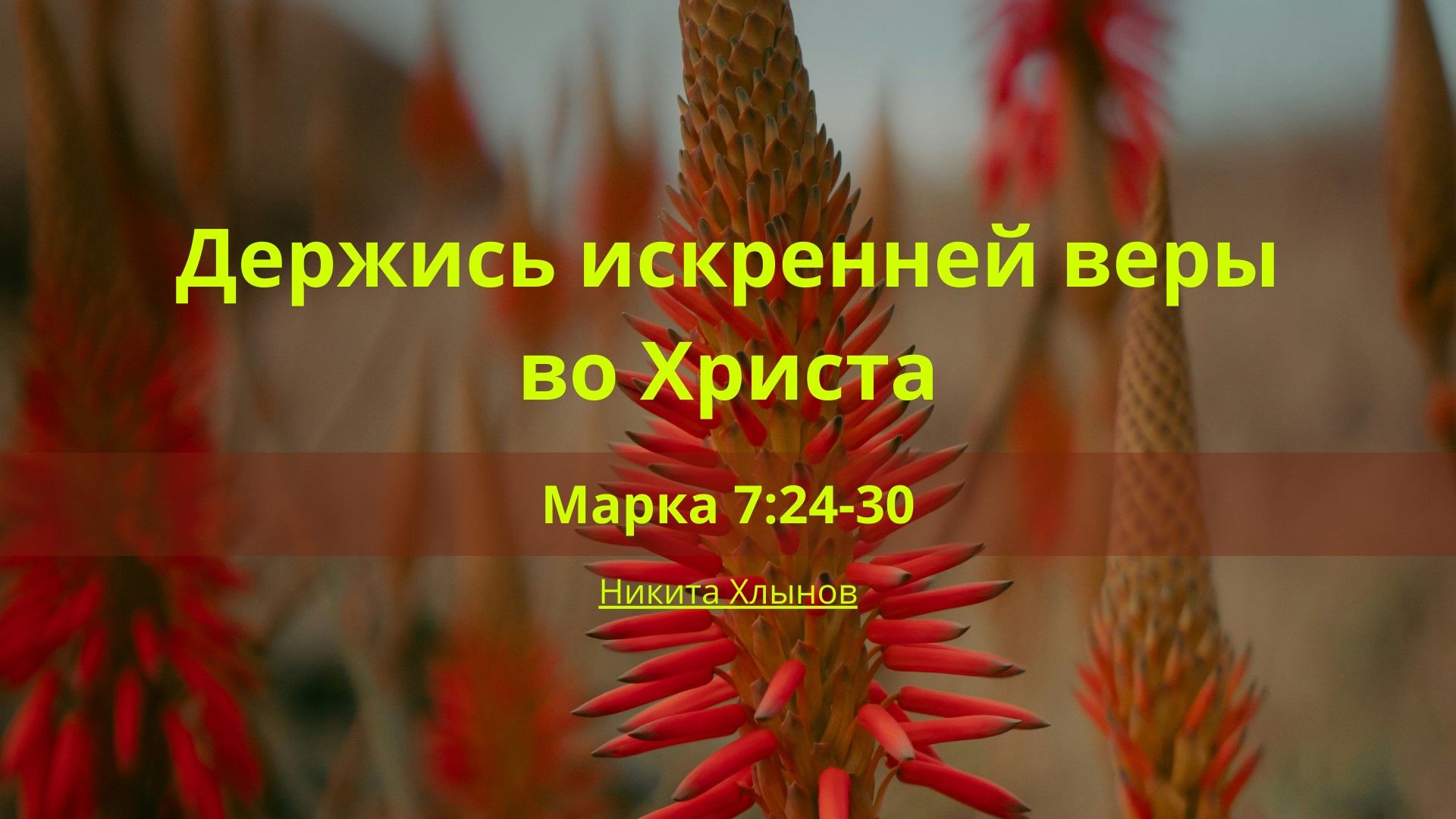 Держись искренней веры в Христа |  Марка 7:24-30 | Никита Хлынов