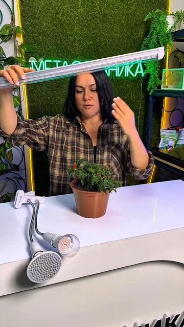 На какой высоте устанавливать фитолампу?