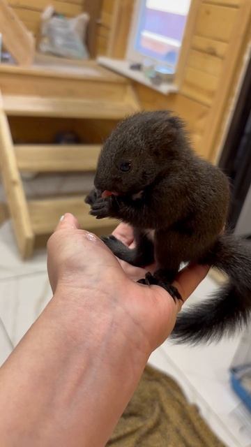 VID_20251123_232408_146.mp4